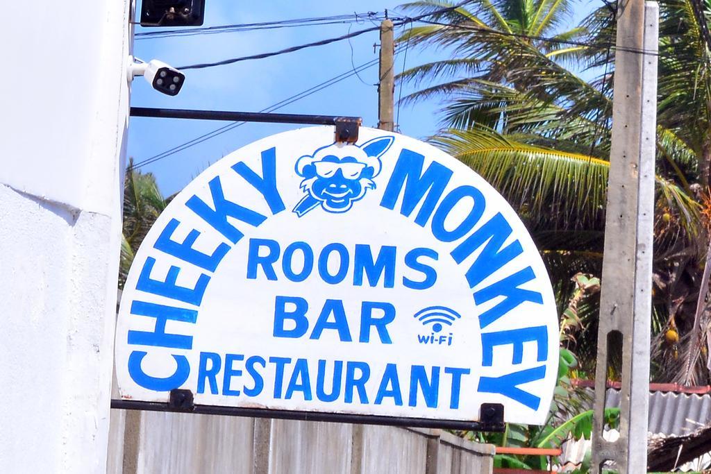 Cheeky Monkey Surf Camp Ξενοδοχείο Weligama Εξωτερικό φωτογραφία